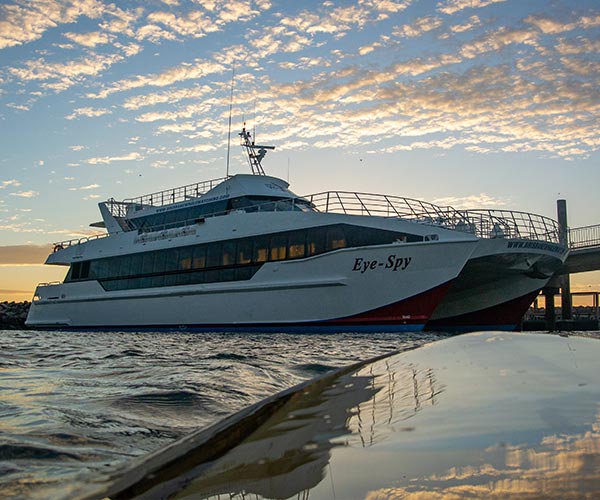 Moreton Bay Sunset Cruises