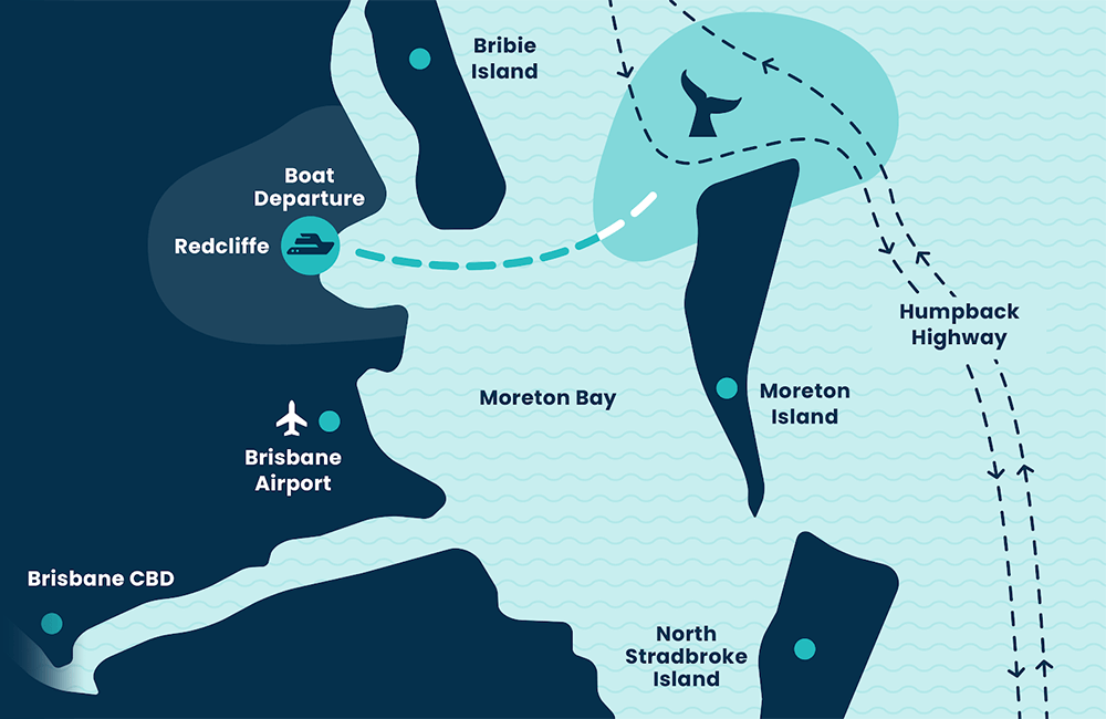 Whale watching Map